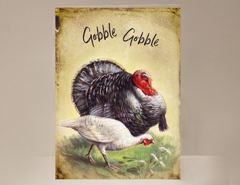 Thanksgiving Turkey greeting cards  |  Yesterday's Best