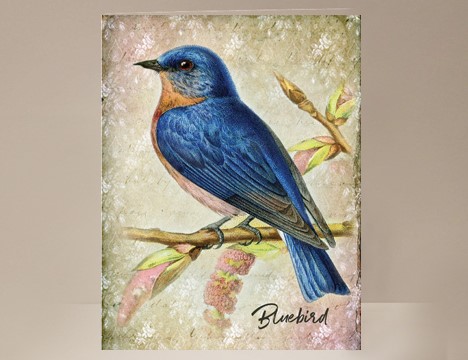 Bird Card Bluebird  |  Yesterday's Best