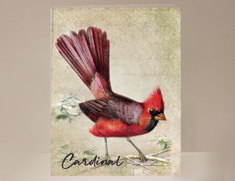 Bird Card Cardinal |  Yesterday's Best