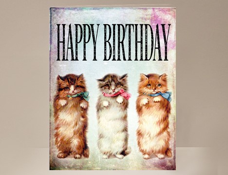 Cat Birthday Card  |  Yesterday's Best