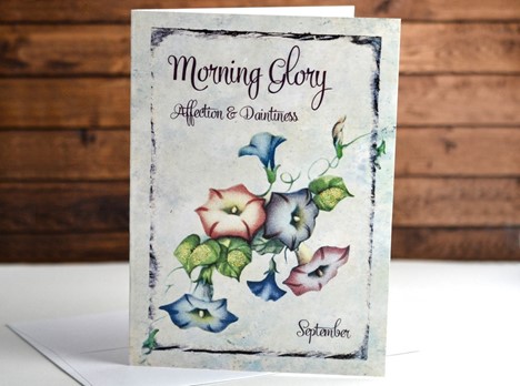 Flower of the month Card Morning Glory September |  Yesterday's Best