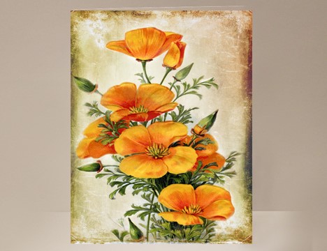 California Poppy Card State Flower Poppy|  Yesterday's Best
