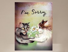 View I'm Sorry Card with cats