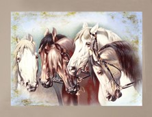 View Five Vintage Horses