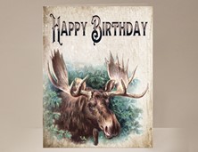 View Moose Birthday Card