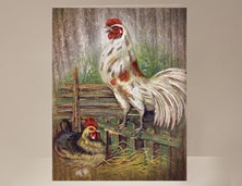 View Rooster Greeting Card