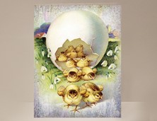 View Easter Greeting Card Chicks