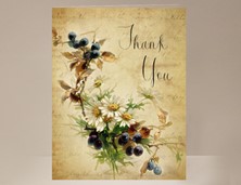 View Thank You card Berries and Daisies