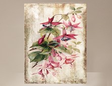 View Fuchsia Flower Greeting Card