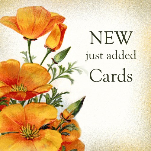 NEW! Just Added