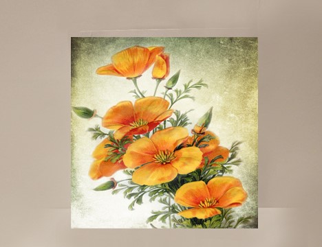 California Poppy Mini Card |  Yesterday's Best