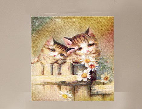 Cats Mini Card  |  Yesterday's Best