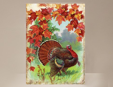 Thanksgiving card Wild Turkey in Country With Fall Leaves  |  Yesterday's Best