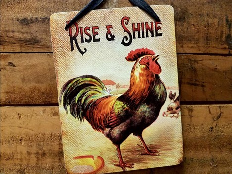 Vintage Rooster Sign Rise and Shine quote |  Yesterday's Best