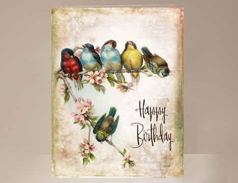 Bird Birthday Card  |  Yesterday's Best