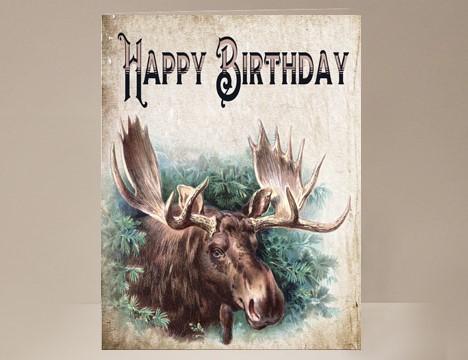 Moose Birthday Card  |  Yesterday's Best