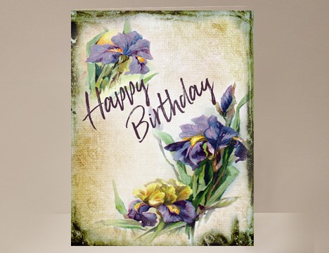 Iris Birthday Card  |  Yesterday's Best