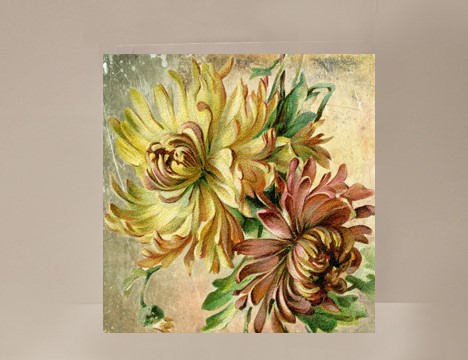 Chrysanthemum Mini Card |  Yesterday's Best