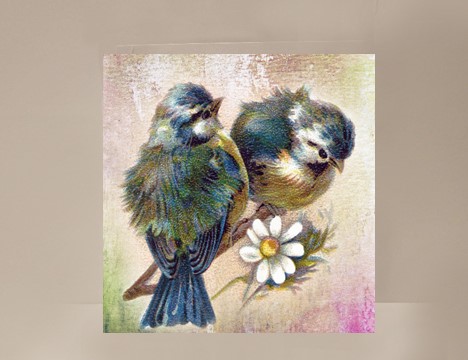 Birds Mini Card |  Yesterday's Best