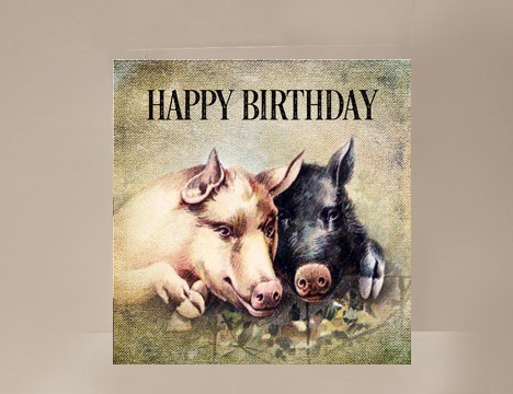 Pigs Mini Birthday Card |  Yesterday's Best