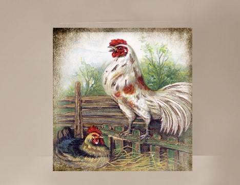 Rooster Mini Card |  Yesterday's Best