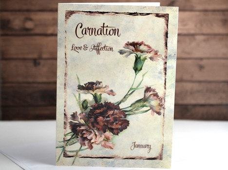 Flower of the month card Carnation January |  Yesterday's Best
