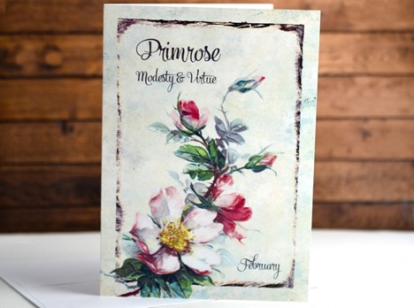 Flower of the month Card Primrose February |  Yesterday's Best