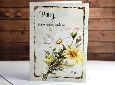 Flower of the month Card Daisy April |  Yesterday's Best