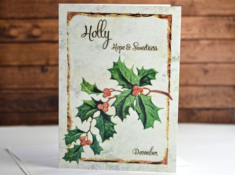 Flower of the month Holly December |  Yesterday's Best
