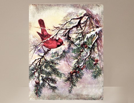 Bright Red Christmas Cardinal Bird Christmas Card |  Yesterday's Best