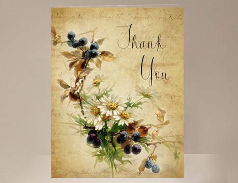Thank You card wholesale Berries and Daisies  |  Yesterday's Best