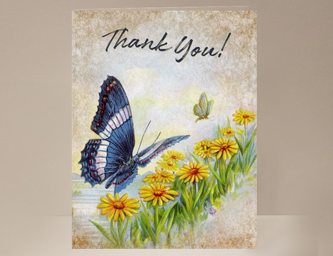 Butterfly Thank You card |  Yesterday's Best