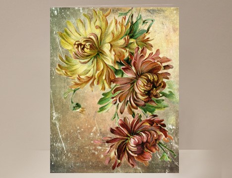Chrysanthimum Card Greeting Card |  Yesterday's Best