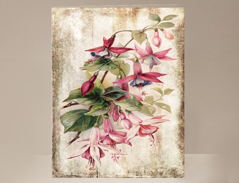 Fuchsia Flower Greeting Card |  Yesterday's Best