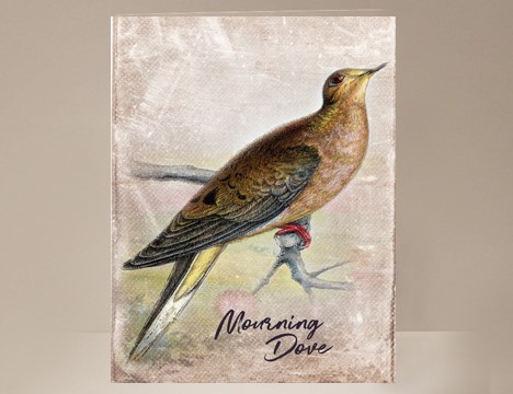 Mourning Dove Greeting Card |  Yesterday's Best