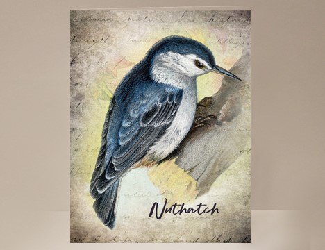 Nuthatch Wild Bird Greeting Card |  Yesterday's Best