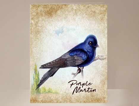 Purple Martin Wild Bird Card|  Yesterday's Best