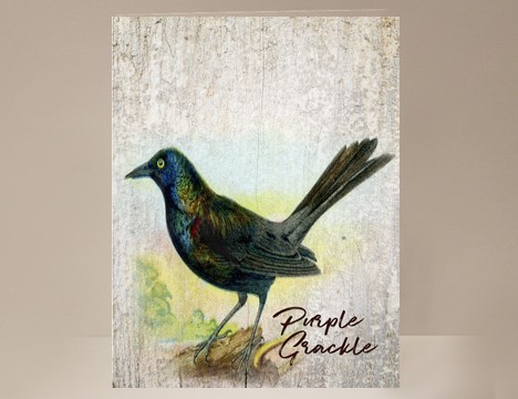 Purple Grackle Wild Bird Card|  Yesterday's Best