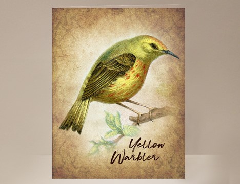 Yellow Warbler Wild Bird Card|  Yesterday's Best