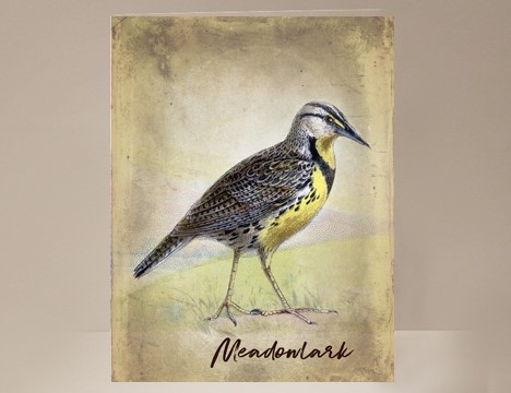 Meadowlark Wild Bird Card|  Yesterday's Best