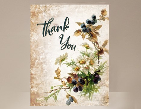Thank You card wholesale Berries and Daisies  |  Yesterday's Best
