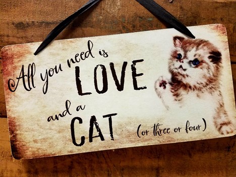 Cat quote Plaque |  Yesterday's Best