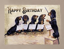 View Dog Dachshund Birthday Card