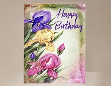 View Iris Birthday Card