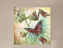View Butterflies Mini Card