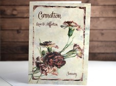 View Flower of the month Card Carnation January