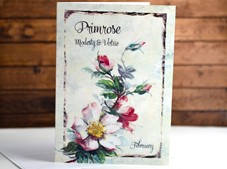 View Flower of the month Card Primrose February