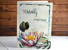 View Flower of the month Card Waterlily July