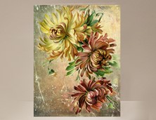 View Chrysanthimum Card