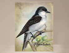 View Flycatcher Bird Card